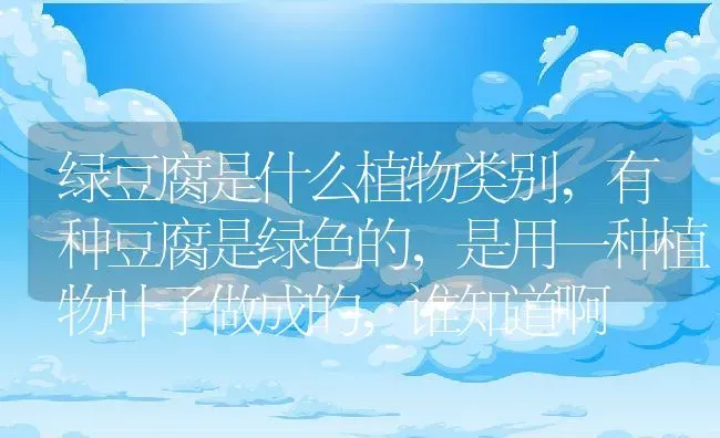 绿豆腐是什么植物类别,有种豆腐是绿色的，是用一种植物叶子做成的，谁知道啊 | 养殖学堂