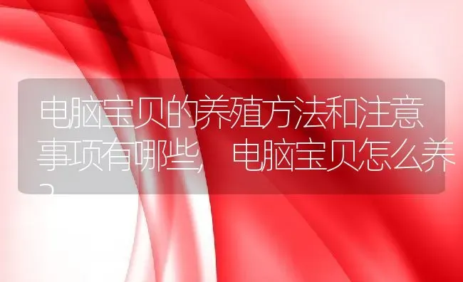 电脑宝贝的养殖方法和注意事项有哪些,电脑宝贝怎么养？ | 养殖科普