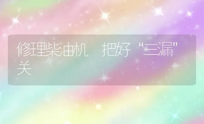 修理柴油机 把好“三漏”关 | 养殖技术大全