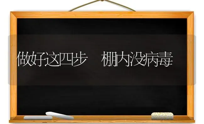 做好这四步 棚内没病毒 | 养殖技术大全