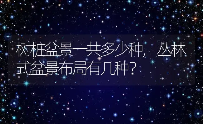 树桩盆景一共多少种,丛林式盆景布局有几种？ | 养殖科普