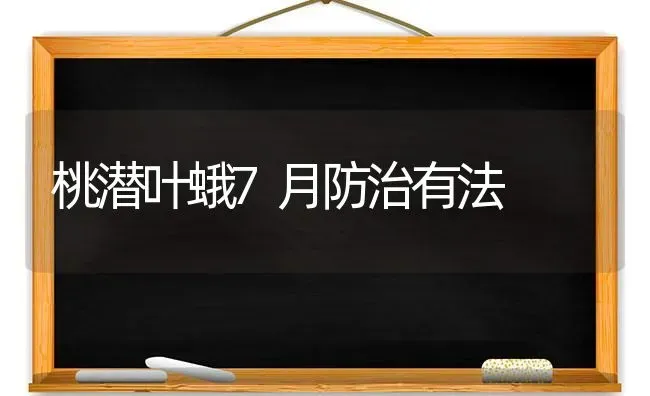 桃潜叶蛾7月防治有法 | 养殖技术大全
