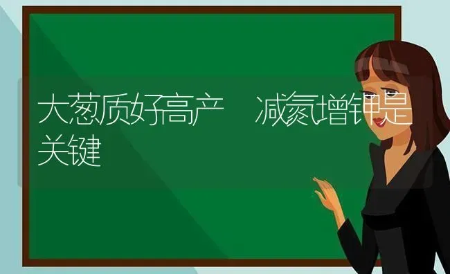 大葱质好高产 减氮增钾是关键 | 养殖知识