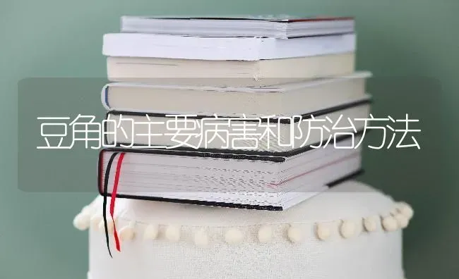 豆角的主要病害和防治方法 | 养殖知识