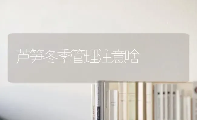芦笋冬季管理注意啥 | 养殖技术大全