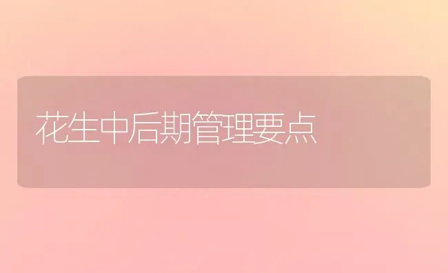 花生中后期管理要点 | 养殖知识