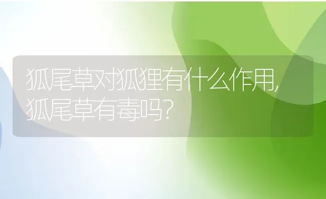 狐尾草对狐狸有什么作用,狐尾草有毒吗？ | 养殖科普