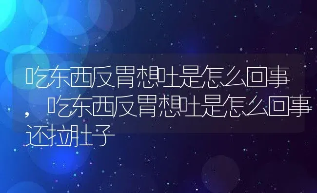 吃东西反胃想吐是怎么回事,吃东西反胃想吐是怎么回事还拉肚子 | 养殖资料