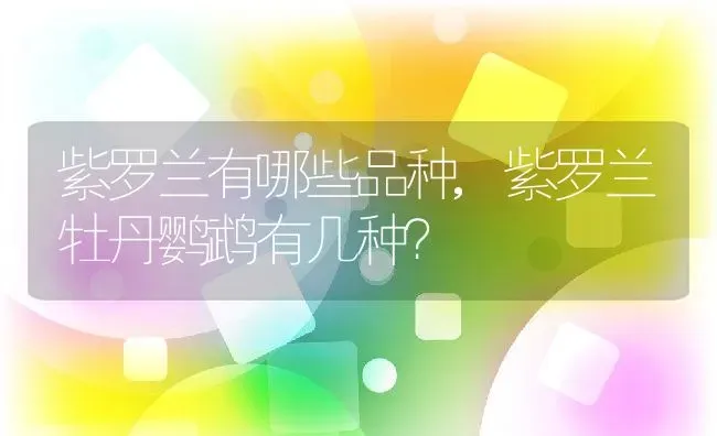 紫罗兰有哪些品种,紫罗兰牡丹鹦鹉有几种？ | 养殖科普