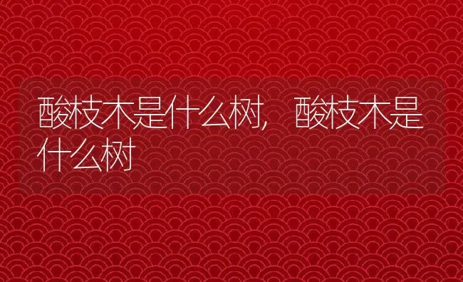 酸枝木是什么树,酸枝木是什么树 | 养殖科普