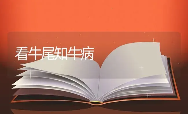 看牛尾知牛病 | 养殖知识