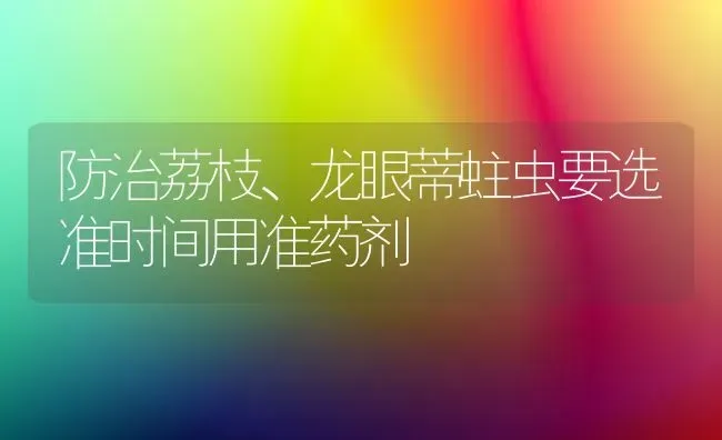 防治荔枝、龙眼蒂蛀虫要选准时间用准药剂 | 养殖技术大全