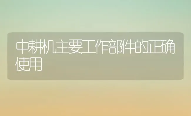 中耕机主要工作部件的正确使用 | 养殖技术大全