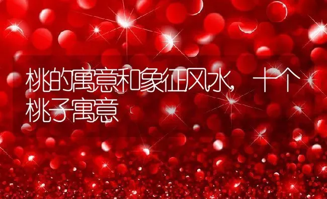 桃的寓意和象征风水,十个桃子寓意 | 养殖学堂