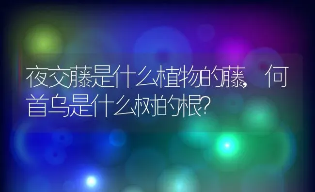 夜交藤是什么植物的藤,何首乌是什么树的根？ | 养殖科普