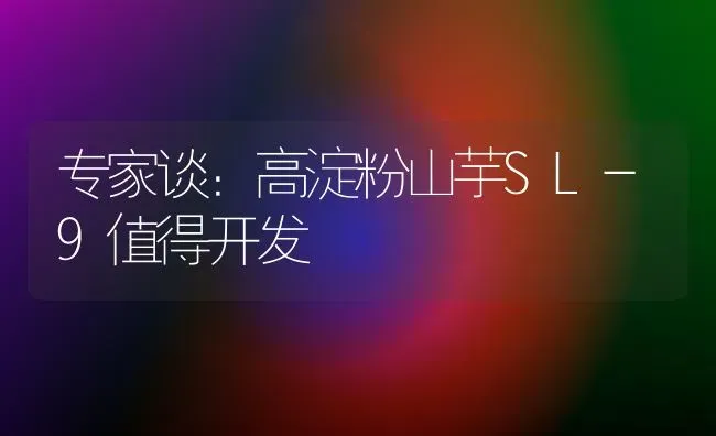 专家谈：高淀粉山芋SL-9值得开发 | 养殖技术大全
