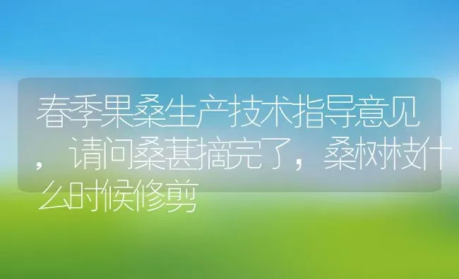 春季果桑生产技术指导意见,请问桑葚摘完了，桑树枝什么时候修剪 | 养殖学堂