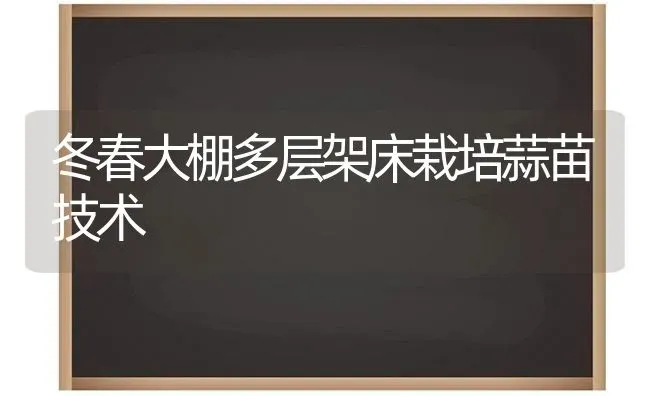 冬春大棚多层架床栽培蒜苗技术 | 养殖知识