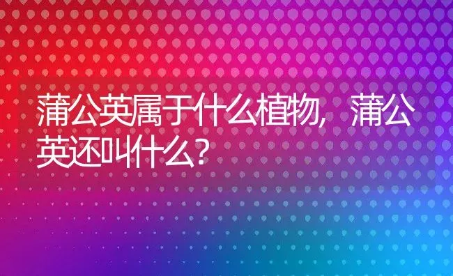 蒲公英属于什么植物,蒲公英还叫什么？ | 养殖科普