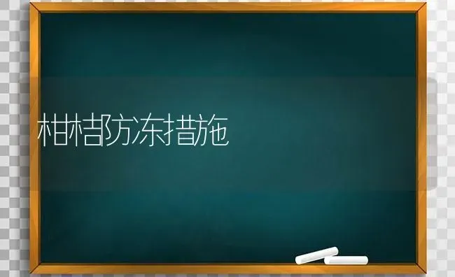 柑桔防冻措施 | 养殖技术大全