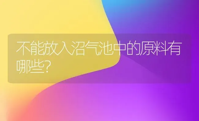 不能放入沼气池中的原料有哪些? | 养殖知识