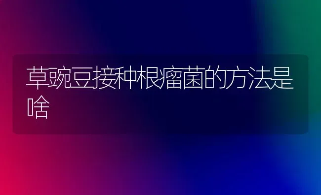 草豌豆接种根瘤菌的方法是啥 | 养殖技术大全