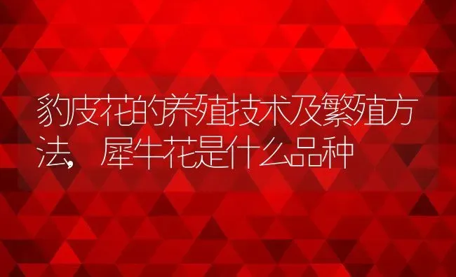 豹皮花的养殖技术及繁殖方法,犀牛花是什么品种 | 养殖学堂
