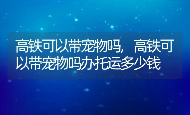 高铁可以带宠物吗,高铁可以带宠物吗办托运多少钱 | 养殖科普