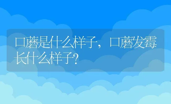 口蘑是什么样子,口蘑发霉长什么样子？ | 养殖科普