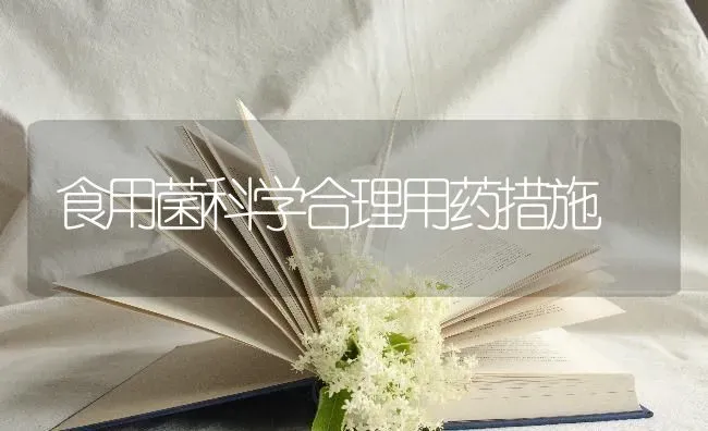 食用菌科学合理用药措施 | 养殖知识