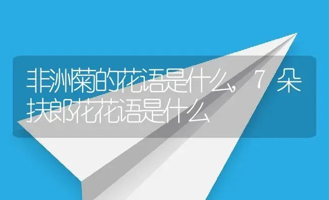 非洲菊的花语是什么,7朵扶郎花花语是什么 | 养殖学堂