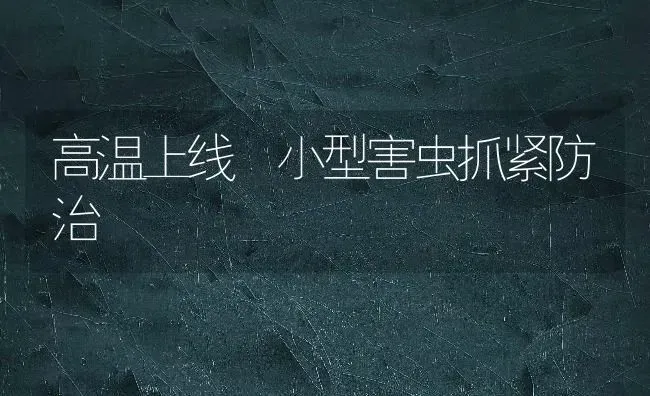 高温上线 小型害虫抓紧防治 | 养殖技术大全