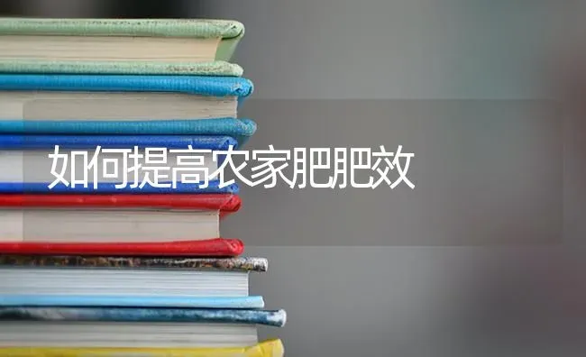 如何提高农家肥肥效 | 养殖技术大全