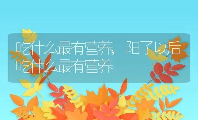 吃什么最有营养,阳了以后吃什么最有营养 | 养殖科普