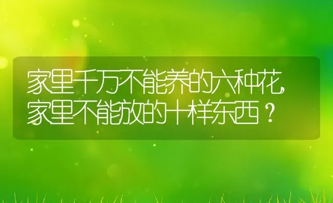 家里千万不能养的六种花,家里不能放的十样东西？ | 养殖科普