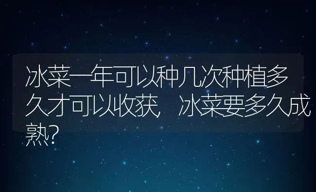 冰菜一年可以种几次种植多久才可以收获,冰菜要多久成熟？ | 养殖科普