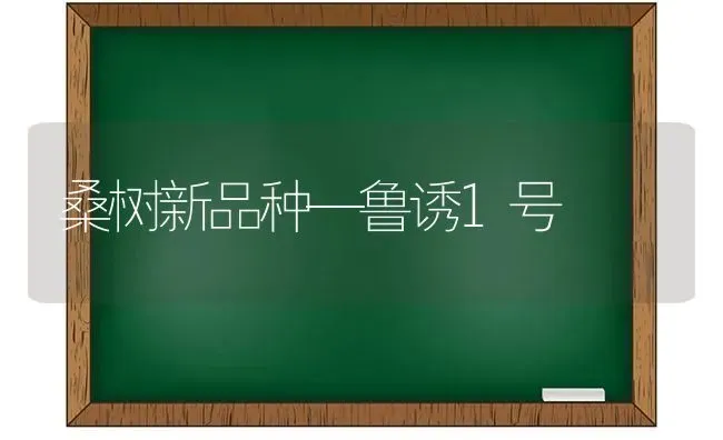 桑树新品种—鲁诱1号 | 养殖知识