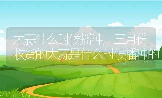 大蒜什么时候播种,三月份收货的大蒜是什么时候播种的 | 养殖学堂