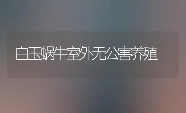 白玉蜗牛室外无公害养殖 | 养殖技术大全