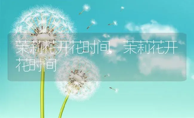 茉莉花开花时间,茉莉花开花时间 | 养殖科普