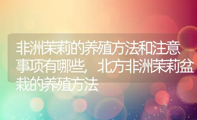 非洲茉莉的养殖方法和注意事项有哪些,北方非洲茉莉盆栽的养殖方法 | 养殖学堂