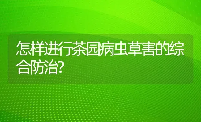 怎样进行茶园病虫草害的综合防治? | 养殖知识