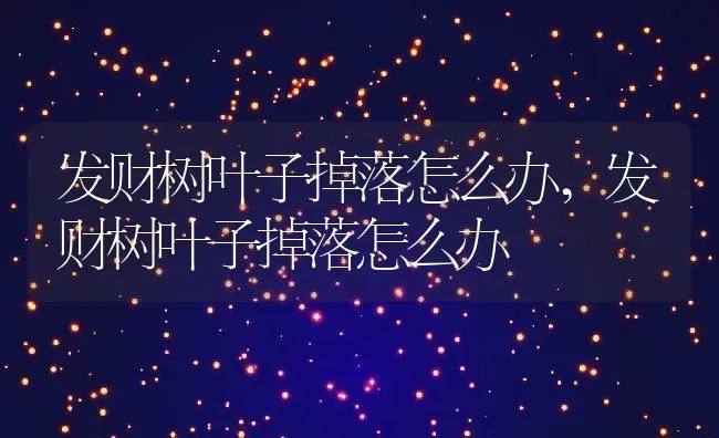 发财树叶子掉落怎么办,发财树叶子掉落怎么办 | 养殖科普