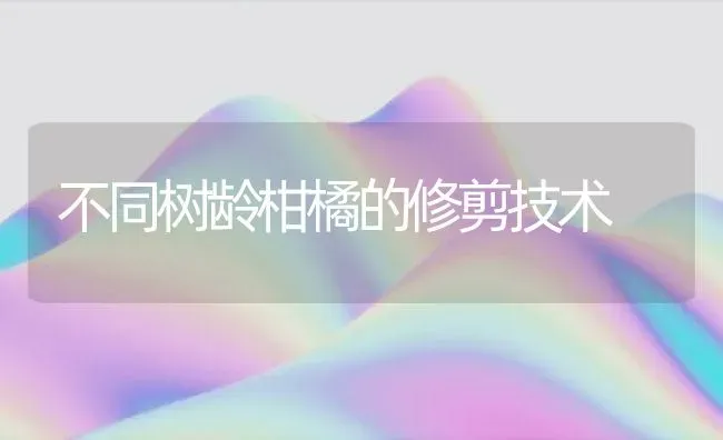 不同树龄柑橘的修剪技术 | 养殖技术大全