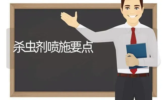 杀虫剂喷施要点 | 养殖知识