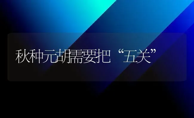 秋种元胡需要把“五关” | 养殖技术大全