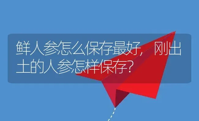 鲜人参怎么保存最好,刚出土的人参怎样保存？ | 养殖科普