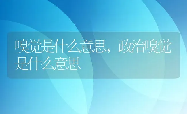 嗅觉是什么意思,政治嗅觉是什么意思 | 养殖资料