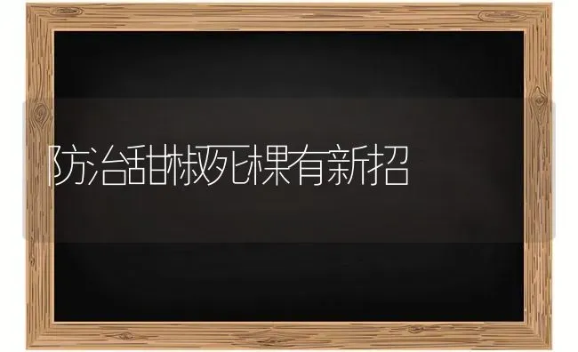 防治甜椒死棵有新招 | 养殖知识