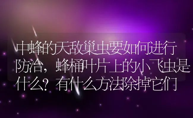 中蜂的天敌巢虫要如何进行防治,蜂桶叶片上的小飞虫是什么？有什么方法除掉它们 | 养殖学堂